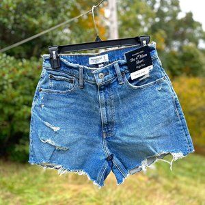 Abercrombie & Fitch Curve Love 4" Mom Short High Rise
